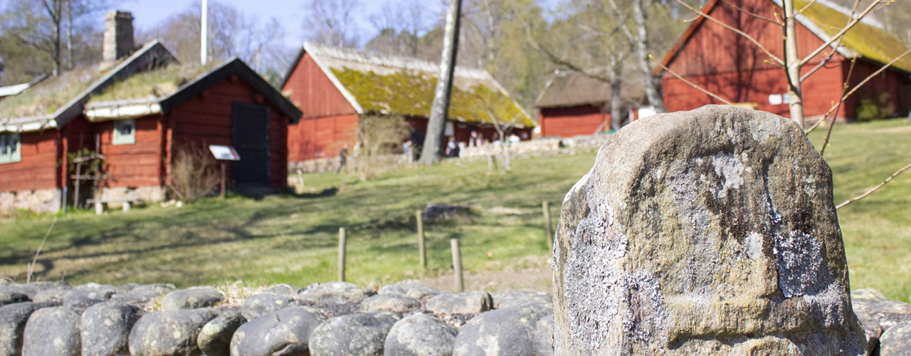Stenmur i förgrunden och gamla, faluröda byggnader på Friluftsmuseet Hallandsgården i bakgrunden.